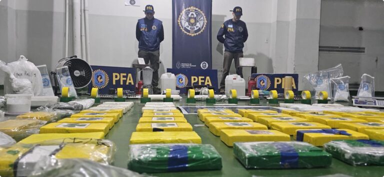 Delfines y pistolas: cayó una banda narco que…