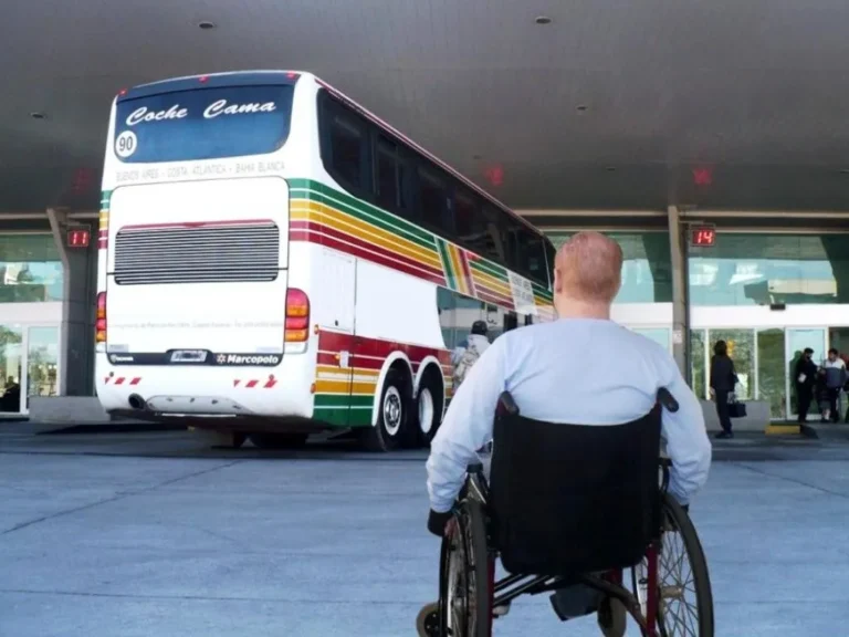 El Gobierno dejó de pagar los pasajes gratuitos…