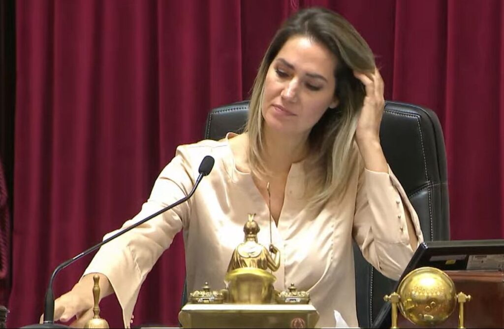 Diputadas radicales se plantaron contra el proyecto de falsas denuncias de Carolina Losada