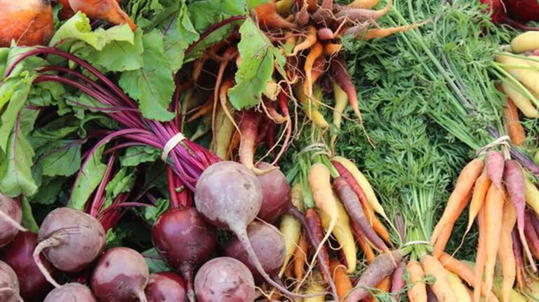 Los superalimentos que no pueden faltar en tu…