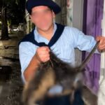 Crueldad: denunciaron a dos jóvenes por matar a golpes a una nutria