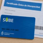 Colapso en Anses: largas filas para vincular la tarjeta SUBE con el CUD