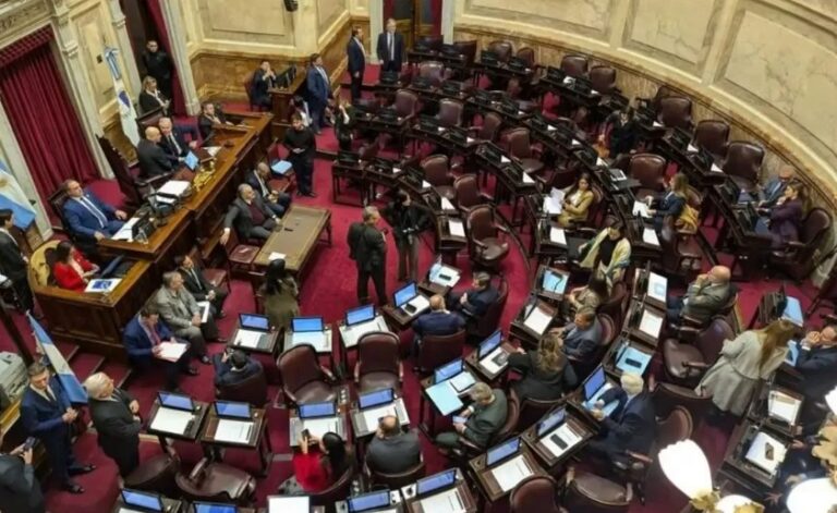 Exclusivo: la UCR en el Senado advierte que…