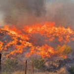 Tragedia en España: al menos 12 muertos y 23 desaparecidos por un devastador incendio en Andalucía