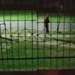 Video viral: una cámara de seguridad registró una extraña figura que parece atravesar las rejas de una casa