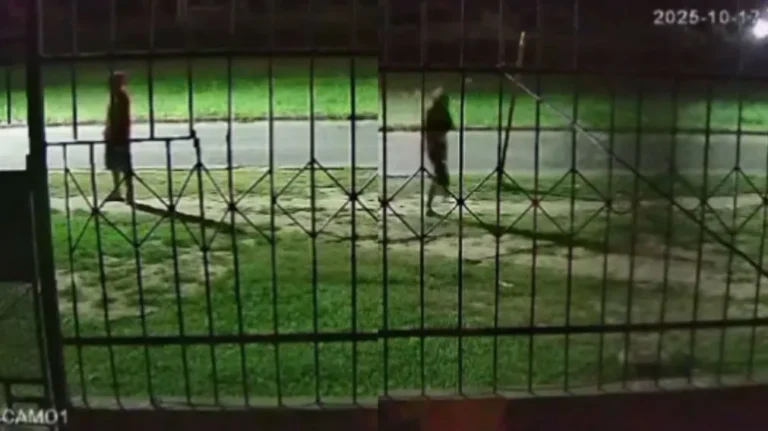 Video viral: una cámara de seguridad registró una…