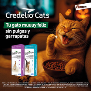 Anuncio