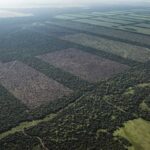 Enrique Viale cuestionó la venta de tierras y llamó a movilizarse: “Es el momento de salir a las calles”