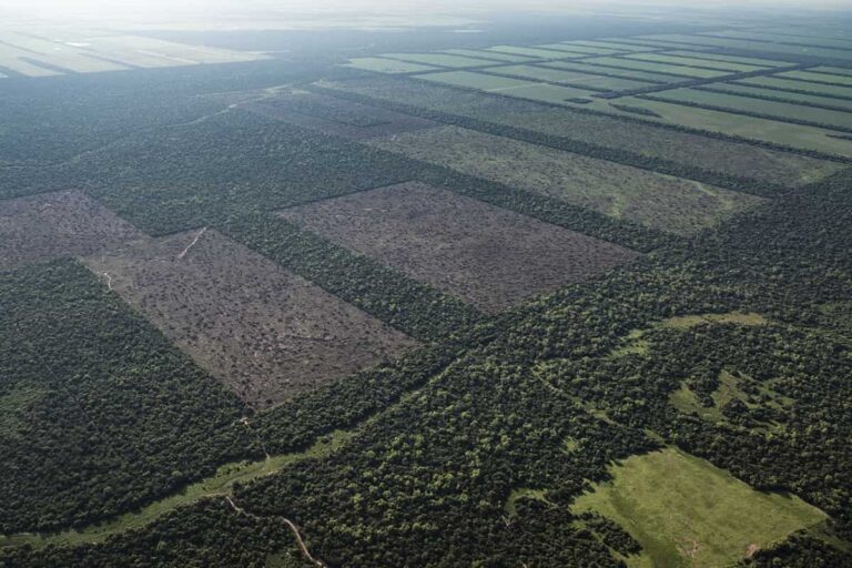Enrique Viale cuestionó la venta de tierras y…