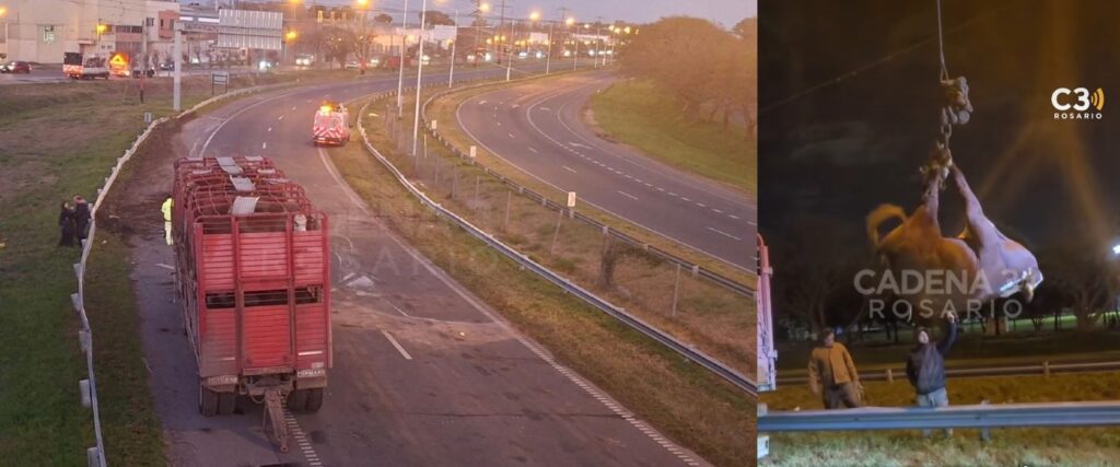 Vuelco de un camión jaula en Circunvalación: hubo incidentes, balas de goma y corte total en Rosario