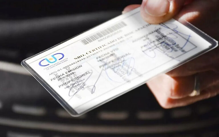 Guía completa del CUD: requisitos, trámites y…