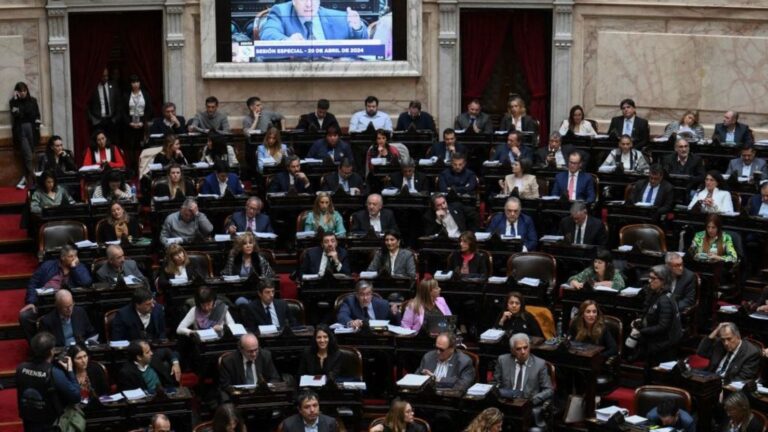 Diputados le dio media sanción a la reforma del…