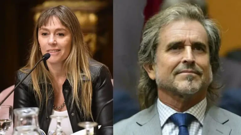 Di Tullio impugnó a Benegas Lynch por un presunto…