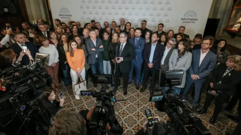 El “frente anti-Milei”: la alianza…
