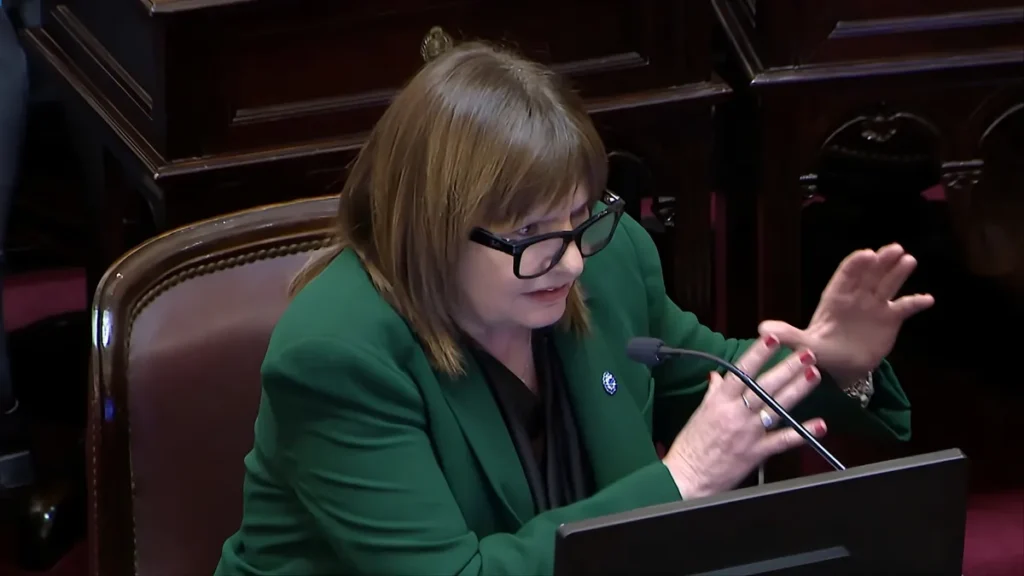 “¡Vos callate!”: Bullrich cerró a los gritos en el Senado y cruzó a Capitanich