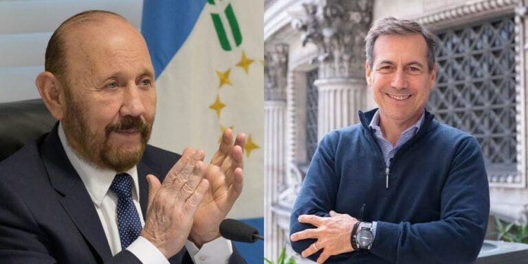 Insfrán y la reelección en Formosa: Naidenoff…