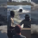 Terror en el agua: un enorme hipopótamo persiguió a una lancha llena de turistas en África
