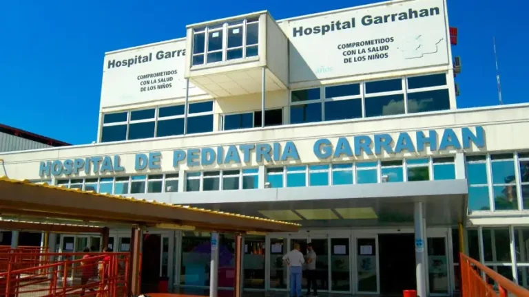 Norma Lezana alertó por la crisis del Garrahan:…
