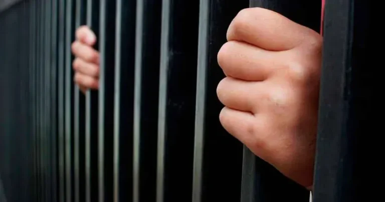 Régimen Penal Juvenil: la jueza Pascual frenó por…