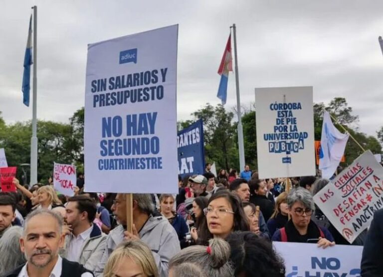 Ileana Celotto denunció que el Gobierno no…