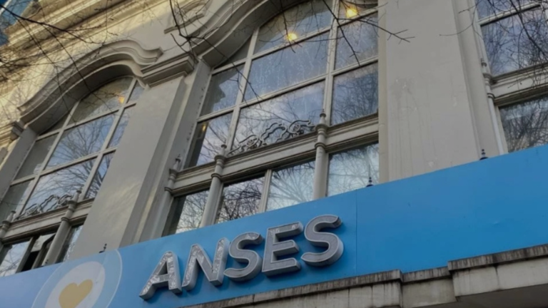 FGS de la ANSES: trece bancos se adjudicaron los…