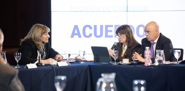 Bullrich cuestionó a la fiscal del caso Chocobar…