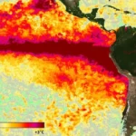 “El Súper Niño”: la advertencia de la OMM sobre uno de los fenómenos climáticos más fuertes desde 1950