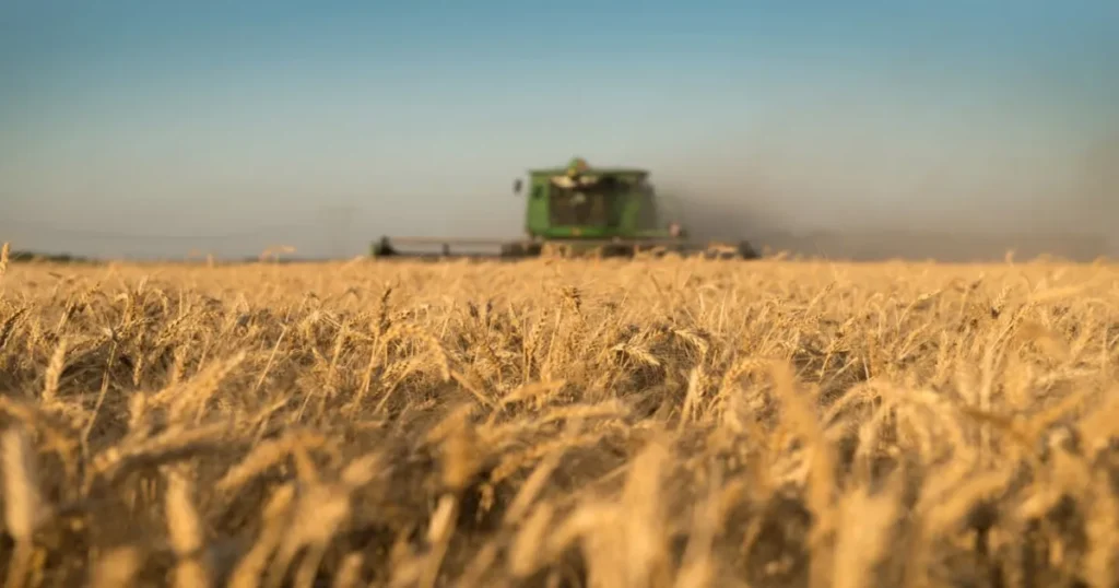El agro anticipa exportaciones récord y aportará más de 41 mil millones de dólares en el año electoral