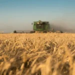 El agro anticipa exportaciones récord y aportará más de 41 mil millones de dólares en el año electoral