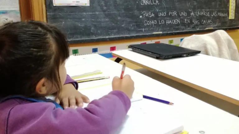 Ajuste Educativo: la inversión caerá al 0,77% del…