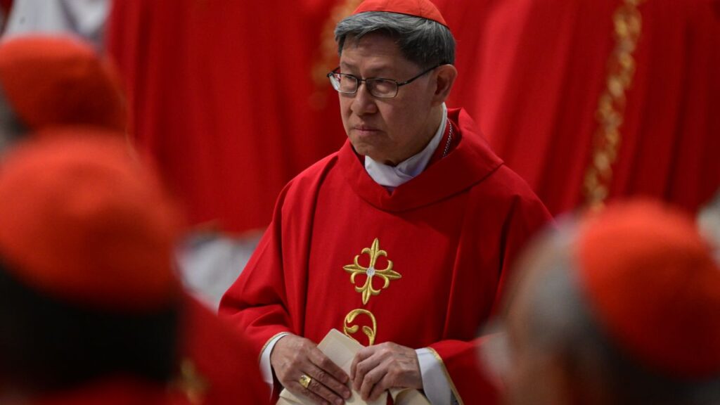 Tras la operación del papa, el “Francisco asiático” presidirá la misa en la Plaza de San Pedro