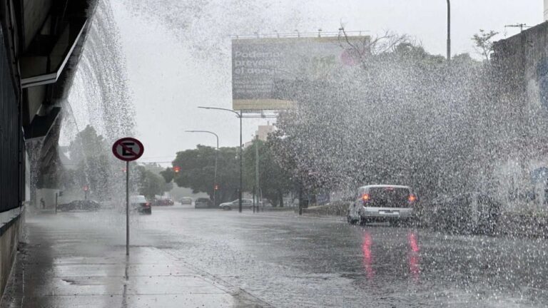 Alerta amarilla por tormentas en cinco…
