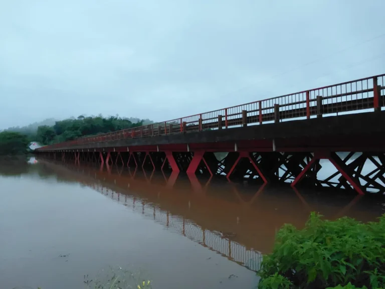 Misiones: la crecida del Paraná cortó la ruta 12…
